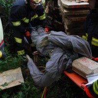 Technische Übung Holzunfall mit vermissten Personen