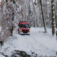 Zahlreiche umgestürzte Bäume auf Grund des Schneefalles